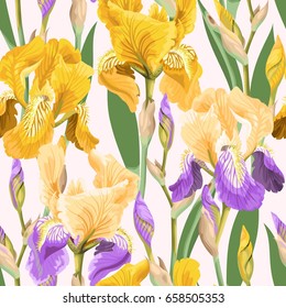 Floral pattern with iris flowers