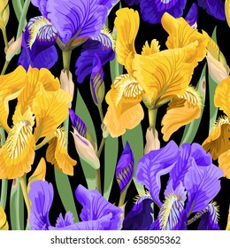 Floral pattern with iris flowers