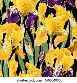 Floral pattern with iris flowers