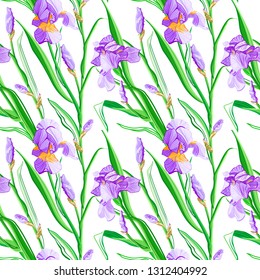 Floral pattern with iris flowers. Seamless vector pattern with colorful iris flowers.