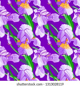 Floral pattern with iris flowers. Seamless vector pattern with colorful iris flowers.