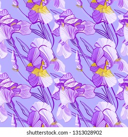 Floral pattern with iris flowers. Seamless vector pattern with colorful iris flowers.