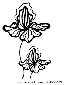 Floral pattern with iris.Black and white background with flowers. Linear art template. Hand drown texture with place for text. 