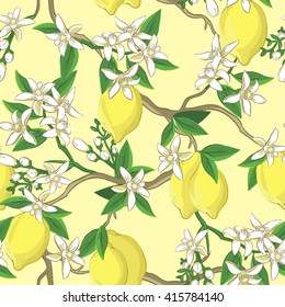 Patrón floral con limones y flores blancas. Fondo vectorial transparente al estilo chino.