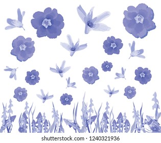 Floral pattern for light blue design