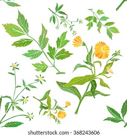 Floral pattern with medicinal plants