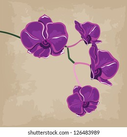 Floral pattern with orchids, hand-drawing. Vector illustration.