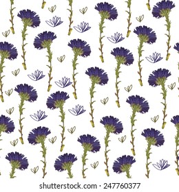 floral  pattern with perewinkles on white