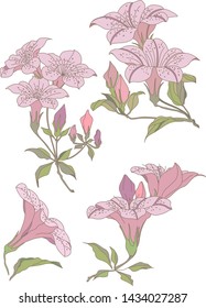  floral pattern with pink flowers