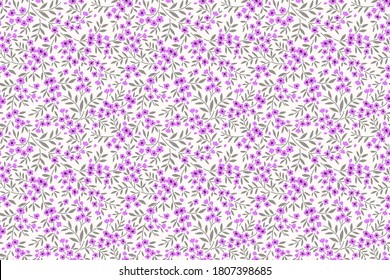 Floral pattern. Pretty flowers on white background. Printing with small lilac flowers. Ditsy print. Seamless vector texture. Spring bouquet.