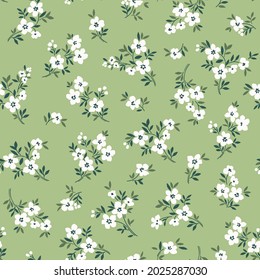 Floral pattern. Pretty flowers on pale green gray background. Printing with small white flowers. Ditsy print. Seamless vector texture. Spring bouquet. Stock vector.