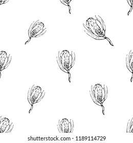 Floral pattern with protea black sketch. Seamless background for fabric design. Cute and beautiful outline vector illustration on white backdrop.