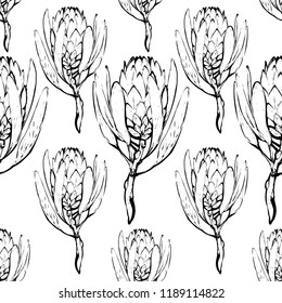 Floral pattern with protea black sketch. Seamless background for fabric design. Cute and beautiful outline vector illustration on white backdrop.