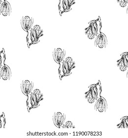 Floral pattern with protea branch black outline sketch. Seamless background for fabric design.
