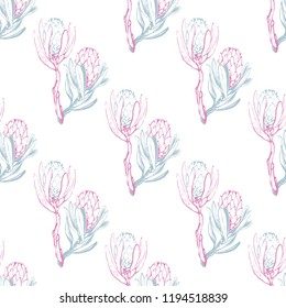 Floral pattern with protea branch. Seamless background for fabric design. Cute and beautiful watercolor vector illustration on white backdrop.