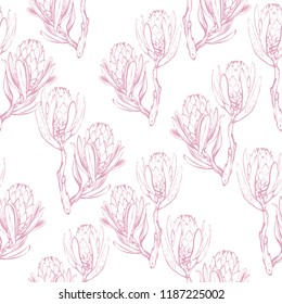 Floral pattern with protea branch white pink outline sketch. Seamless background for fabric design.