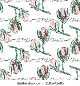 Floral pattern with protea flower sign and protea flower branch. Seamless background for fabric design. Cute and beautiful watercolor vector illustration on white backdrop.