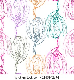 Floral pattern with protea pink colorful outline. Seamless background for fabric design. Cute and beautiful watercolor vector illustration on white backdrop.