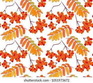 Floral pattern with rowan leaves and berries. 