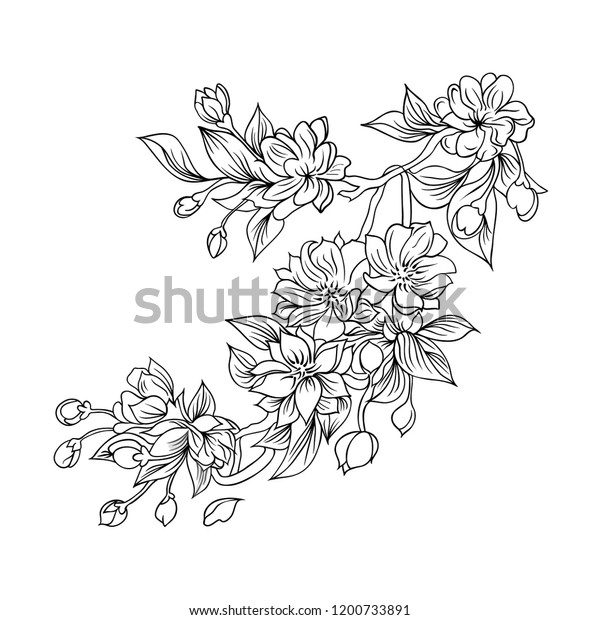 桜の花柄白黒のデザイン 塗り絵本のベクターイラスト のベクター