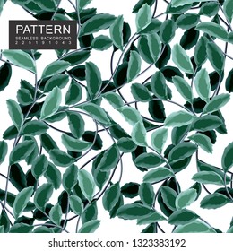 Floral Pattern Seamless