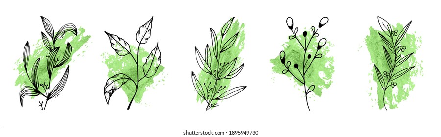 Blumenmuster. Pflanzenzähler auf einem Aquarellstrich. Linearflora, Vektorgrafik, AquarellVektorgrafik