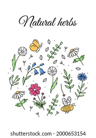 Floral pattern in the shape of a circle in line style. Vector composition with meadow flowers, herbs, bee and butterfly in a cute doodle style. Perfect for postcards or packing