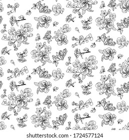 floral pattern of spring flowers and leaves