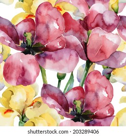 Floral pattern. Vector seamless background. Purple tulips  and yellow irises