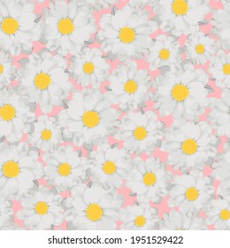 Blumenmuster mit weißen Chrysanthemen auf rosafarbenem Hintergrund. 