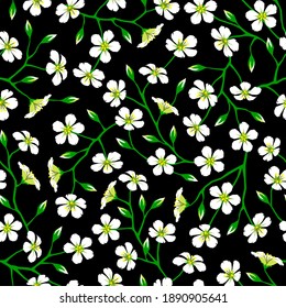 Floral pattern white flower blooming seamless black background