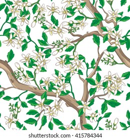 Floral pattern with white flowers. Seamless vector background in chinese style.