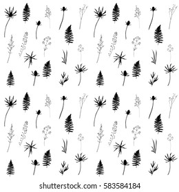 Floral pattern with wild meadow flowers, herbs and grasses.Thin delicate line silhouettes of different plants - johnson's grass, shepherd's purse, thistles, fern leaves. Black on white background