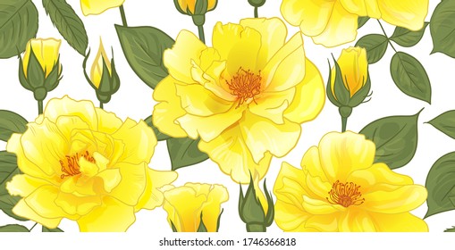 patrón floral con rosas amarillas para el diseño y acondicionamiento de superficies y para el textil y el papel en vectores
