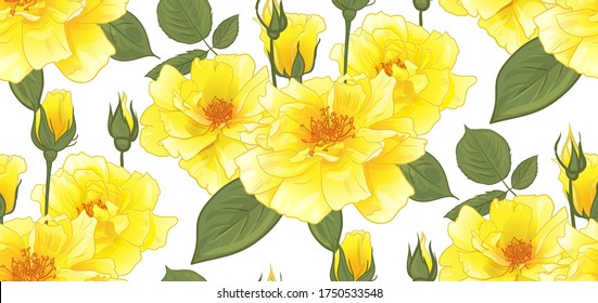 Blumenmuster mit gelben Rosen für die Oberflächengestaltung sowie Verpackung und Textilien in Vektorgrafik