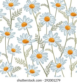 Floral pattern.Chamomiles on white background.