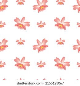 Patrones florales fondo orquídea colombiana Colombia flor nacional Ilustración vectorial