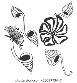 Floral patterns for design isolated on white