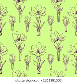 patrones florales. Fondo blanco. entrada de lápiz. Primavera. Patrón vectorial sin cable. Crocus. Lily del valle. Primorrosas. Esbozo. Impresión de tejido. Flores de primavera. Abril. Mayo.