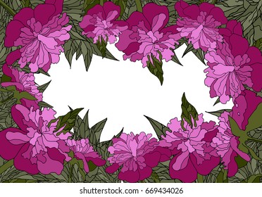 Floral of peonies background or frame