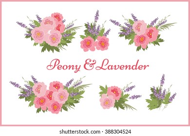 Floral  peony lavender background vector illustration. Sprig  background, floral greeting card