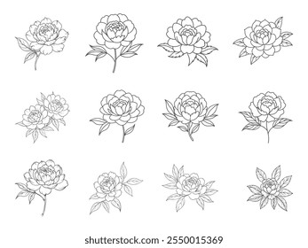 Floral Peony Line Art for Design Projects, Detailed Peony Flower Outline Vector Graphic