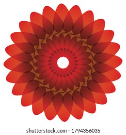 Floral petals in placed in circular pattern