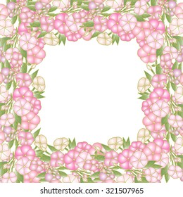 floral phlox frame
