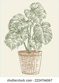 Floral plant hand draw vector illustration clip art