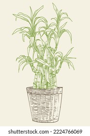 Dibujo de la mano de la planta floral ilustración de clip de ilustración vectorial