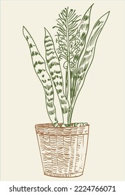Dibujo de la mano de la planta floral ilustración de clip de ilustración vectorial