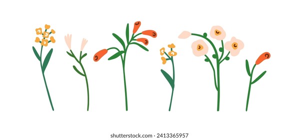 Floral plants, branches set. Field flowers, spring blooms. Gentle delicate herbs, stems, summer sprigs. Botanical decorations, wildflowers. Flat vector illustration isolated on white background