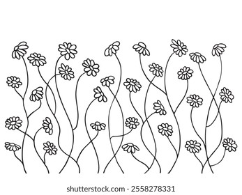 Plantas florales, flores, margaritas, manzanilla, margarita sobre un fondo transparente. Elementos decorativos para decoración. Dibujo a mano garabatos de Elementos botánicos de Vector en estilo de línea