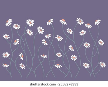 Plantas florales, flores, margaritas, manzanilla, margarita sobre un fondo transparente. Elementos decorativos para decoración. Garabatos dibujados a mano de Elementos botánicos de Vector en estilo plano